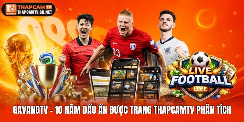Gavangtv – 10 Năm Dấu Ấn Được Trang Thapcamtv Phân Tích