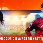 Kèo Tài Xỉu - Mốc 2.25, 2.5 Và 2.75 Phân Biệt Tại Thapcamtv