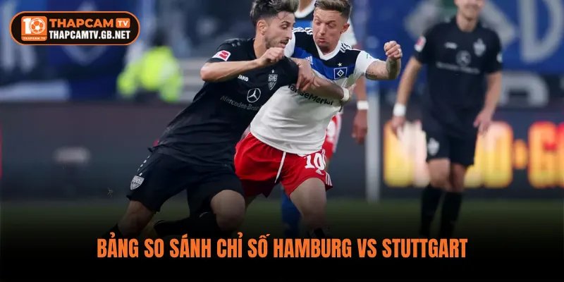 Bảng so sánh chỉ số Hamburg vs Stuttgart