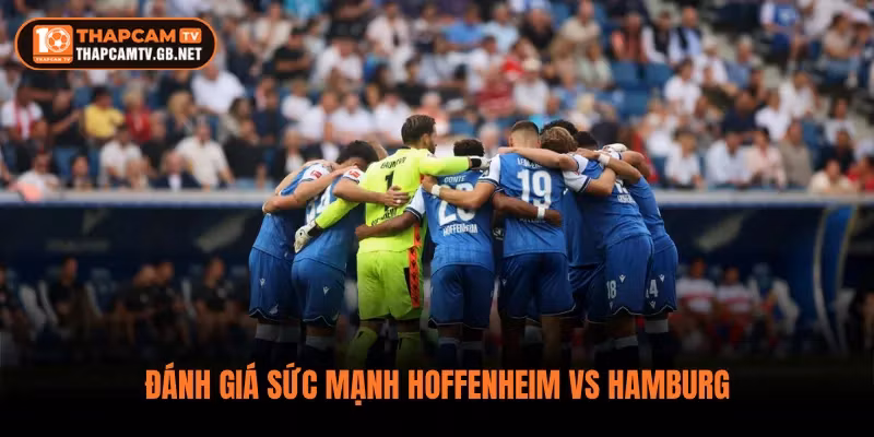 Đánh giá sức mạnh Hoffenheim vs Hamburg
