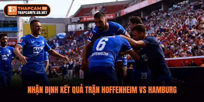 Nhận định kết quả trận Hoffenheim vs Hamburg