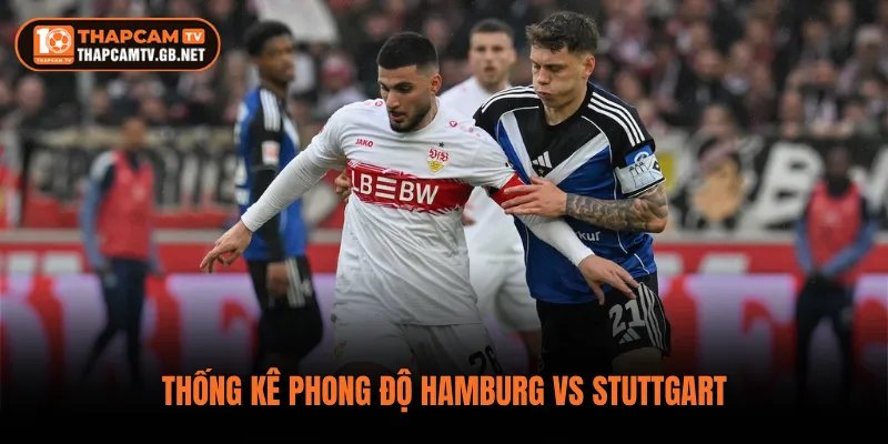 Thống kê phong độ Hamburg vs Stuttgart